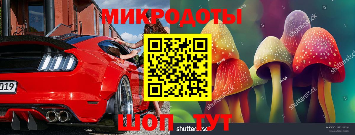 наркота  Галлюциногенные грибы Psilocybine cubensis  Вход с VPN  Иваново  Псилоцибиновые грибы мицелий 